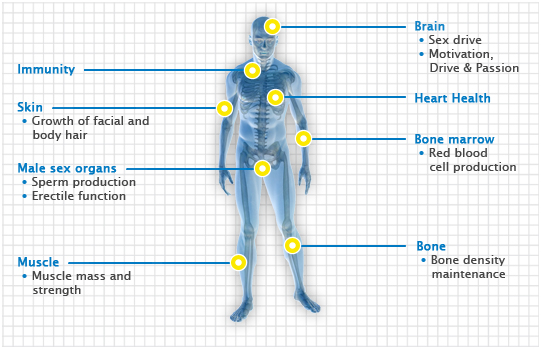 Progene Testosterone Test Kit – Modern Man